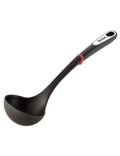 Ingenio Ladle