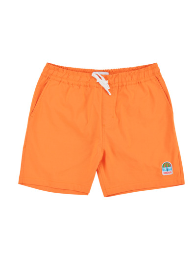 Beach Hybrid Shorts