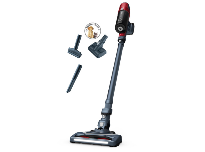 X-Pert 6.60 Animal vacuum cleaner cordless bagless