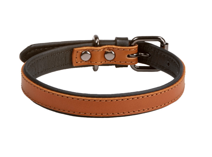 Leather dual collar