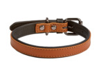 Leather dual collar