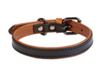 Leather dual collar