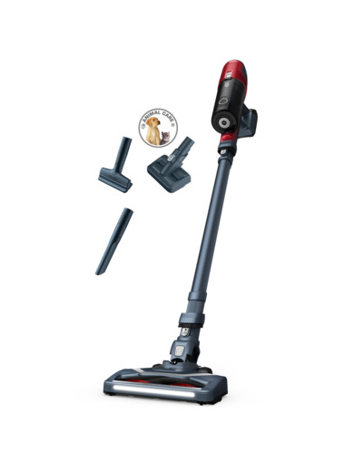 X-Pert 6.60 Animal vacuum cleaner cordless bagless