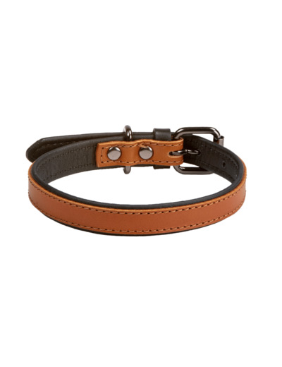 Leather dual collar