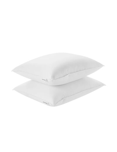 Joutsen Syli Down Pillow Set