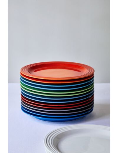 Selection of 27 cm plates -50%