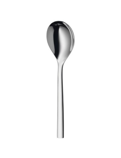 Nuova serving spoon 25 cm