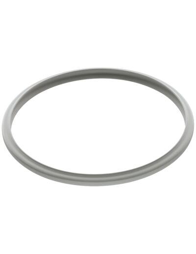 Sealing ring 22 cm