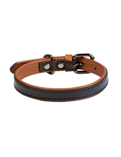 Leather dual collar